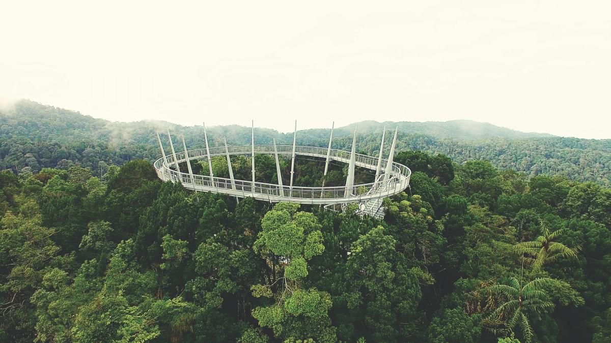 Get an amazing Malaysian rainforest experience while visiting The Habitat Penang Hill