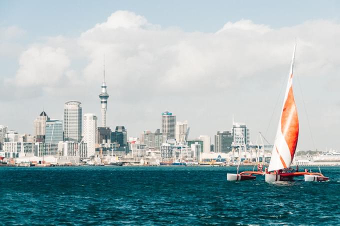 Auckland Harbour Sailing Experience