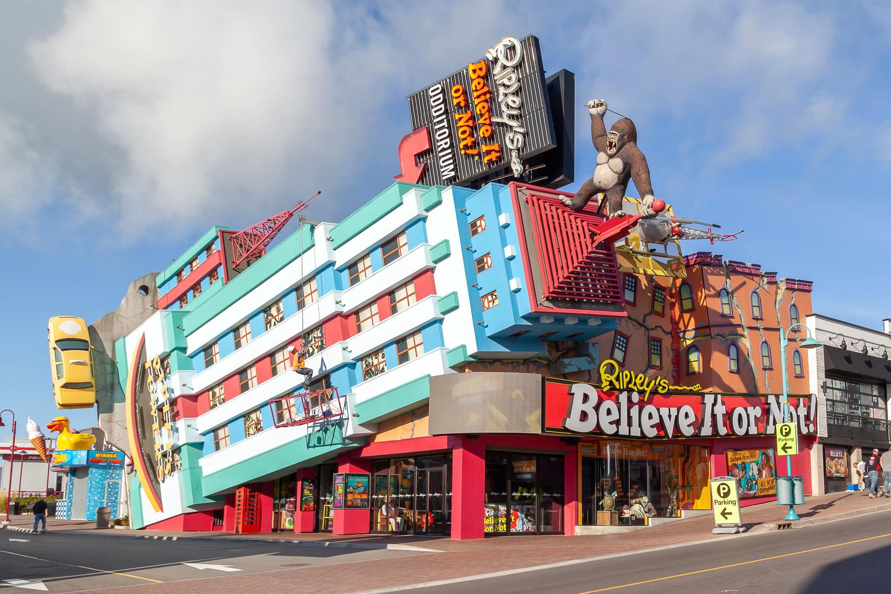 Explore Curiosities at Ripley's Believe It or Not