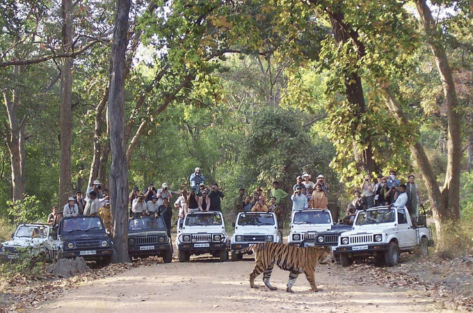 Chinnar Night Safari In Munnar