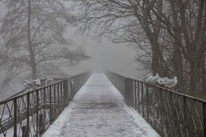 Rome in winter