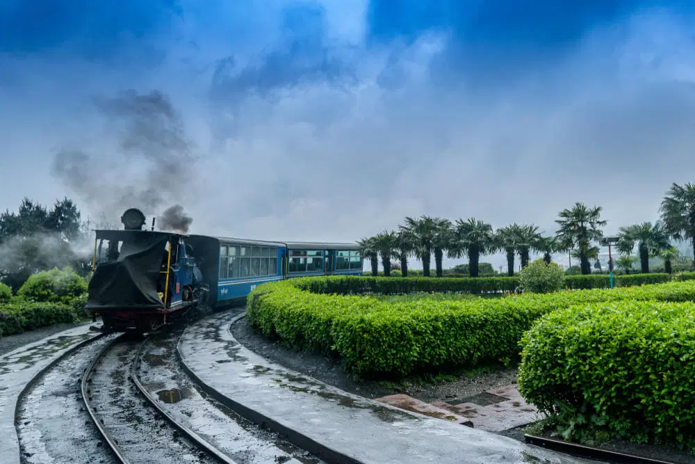 Best Sellers of Darjeeling