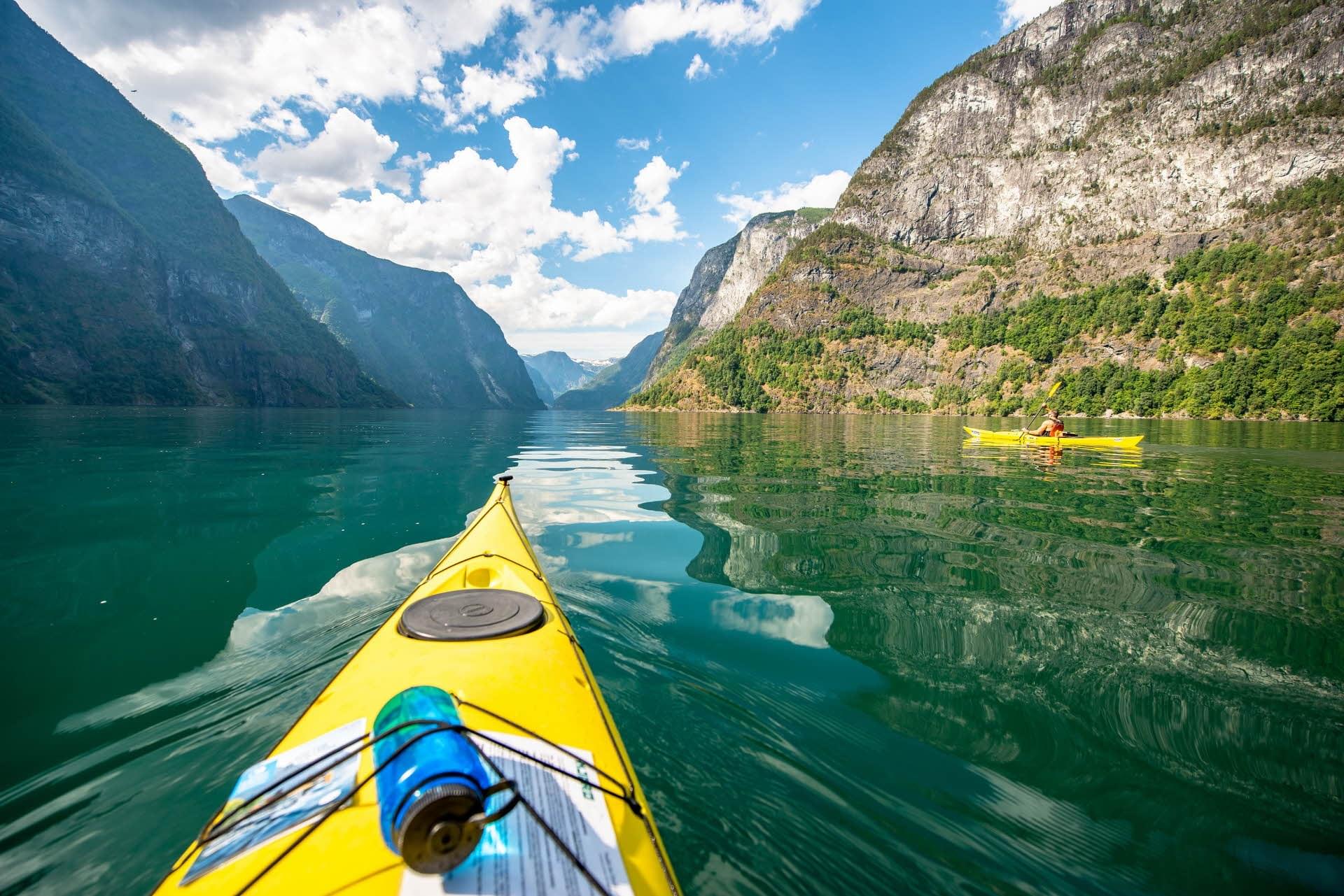 Enjoy cruise ride and kayaking through the Fjord