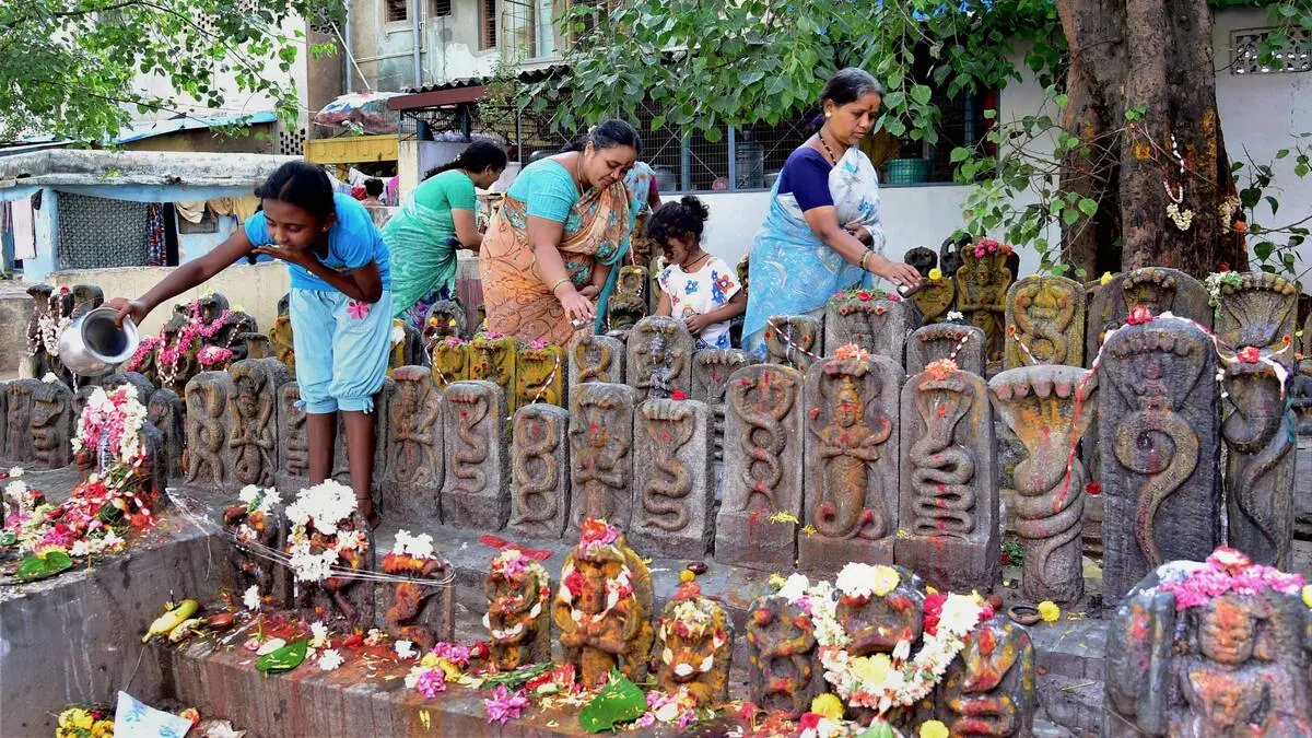 Enjoy the Festivals and Ceremonies
