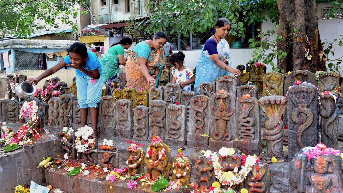 Enjoy the Festivals and Ceremonies
