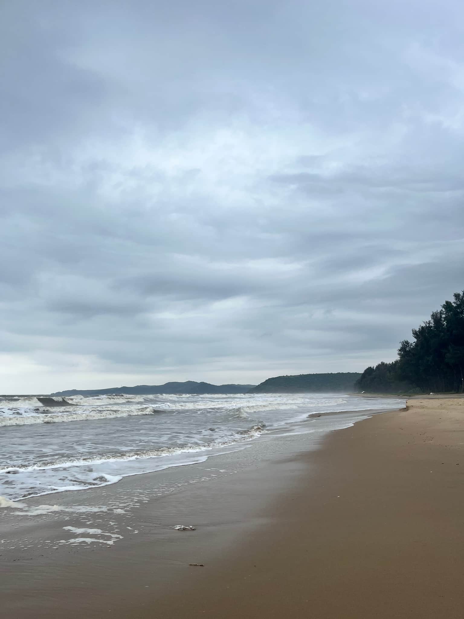 Photo from Vaishnavi 's trip