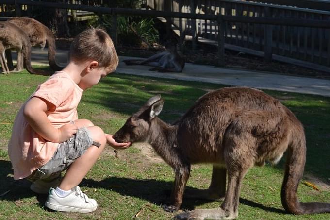 Ballarat Wildlife Park