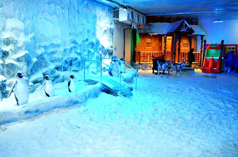 Snow World 