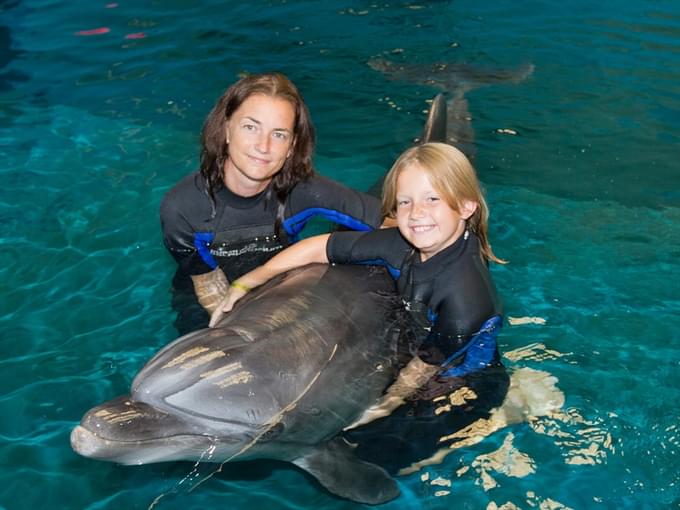 Dolphin Show Dubai