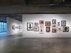 See an exhibition room showing a stunning collection of artworks