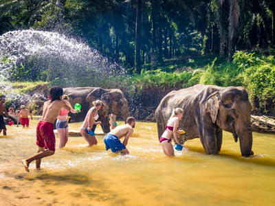 Splash around the lake with the elephants