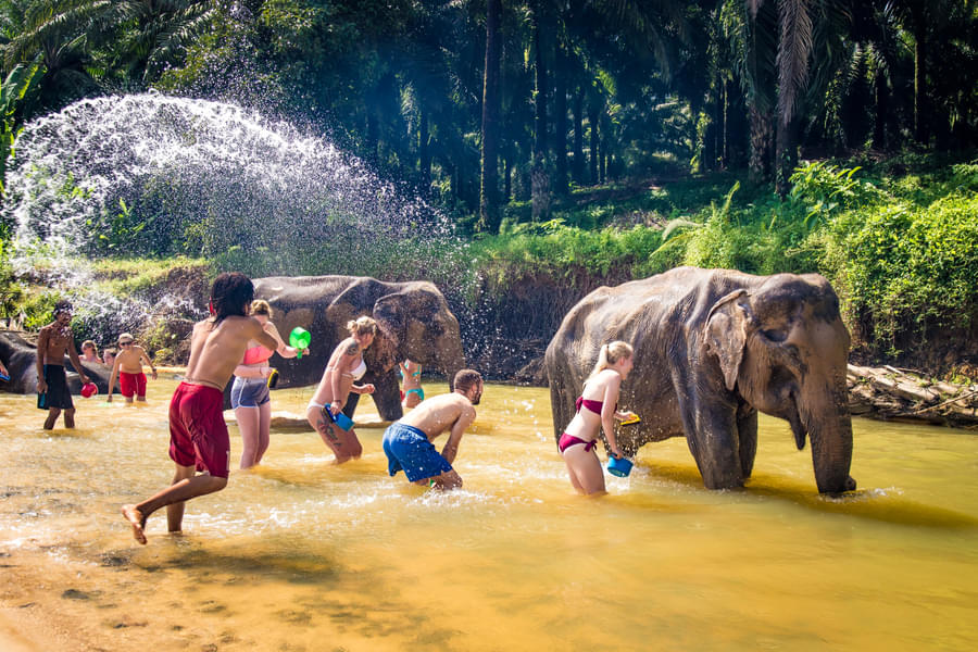 Splash around the lake with the elephants