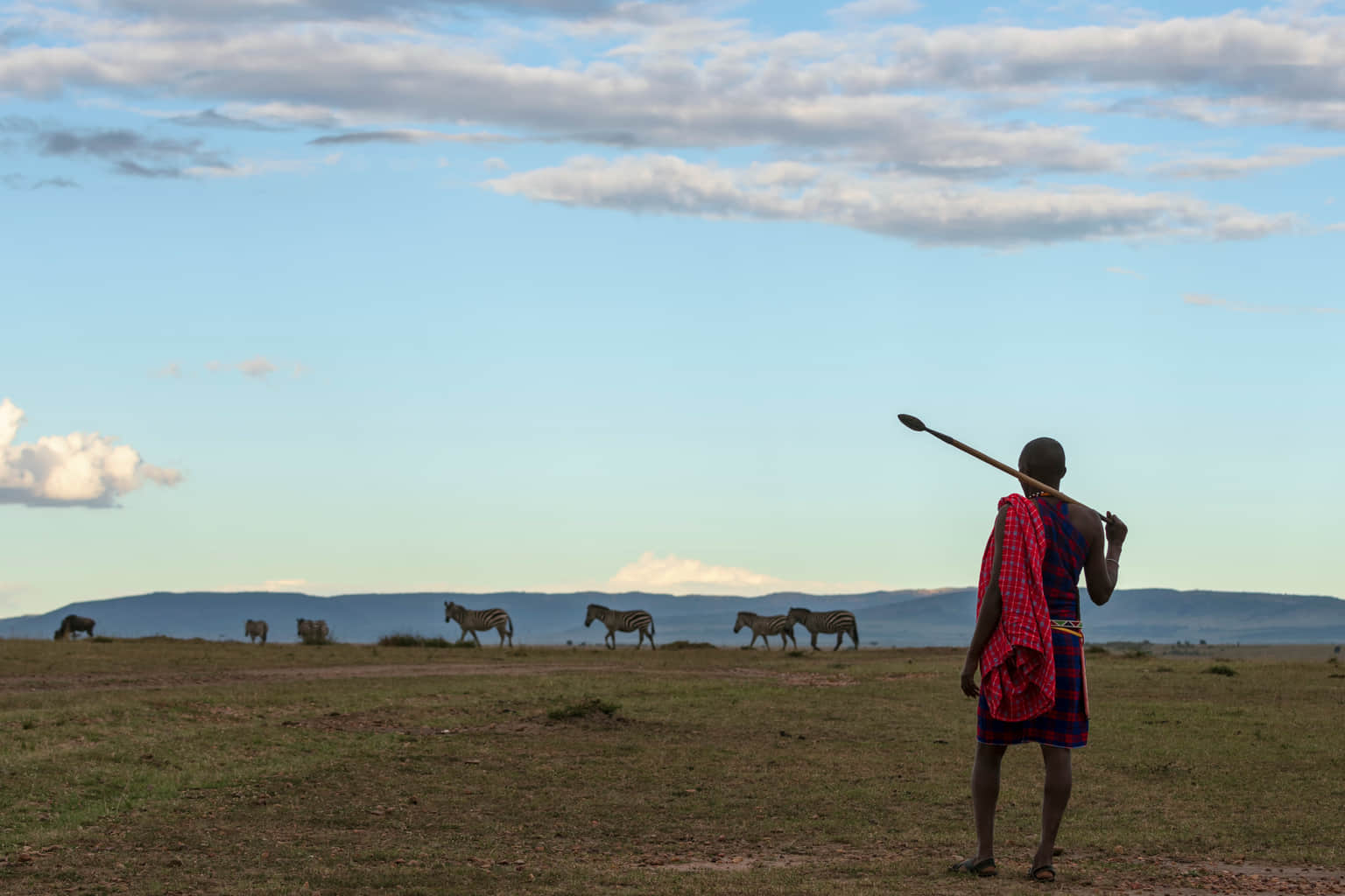 Best Deals Tours in Masai Mara National Reserve
