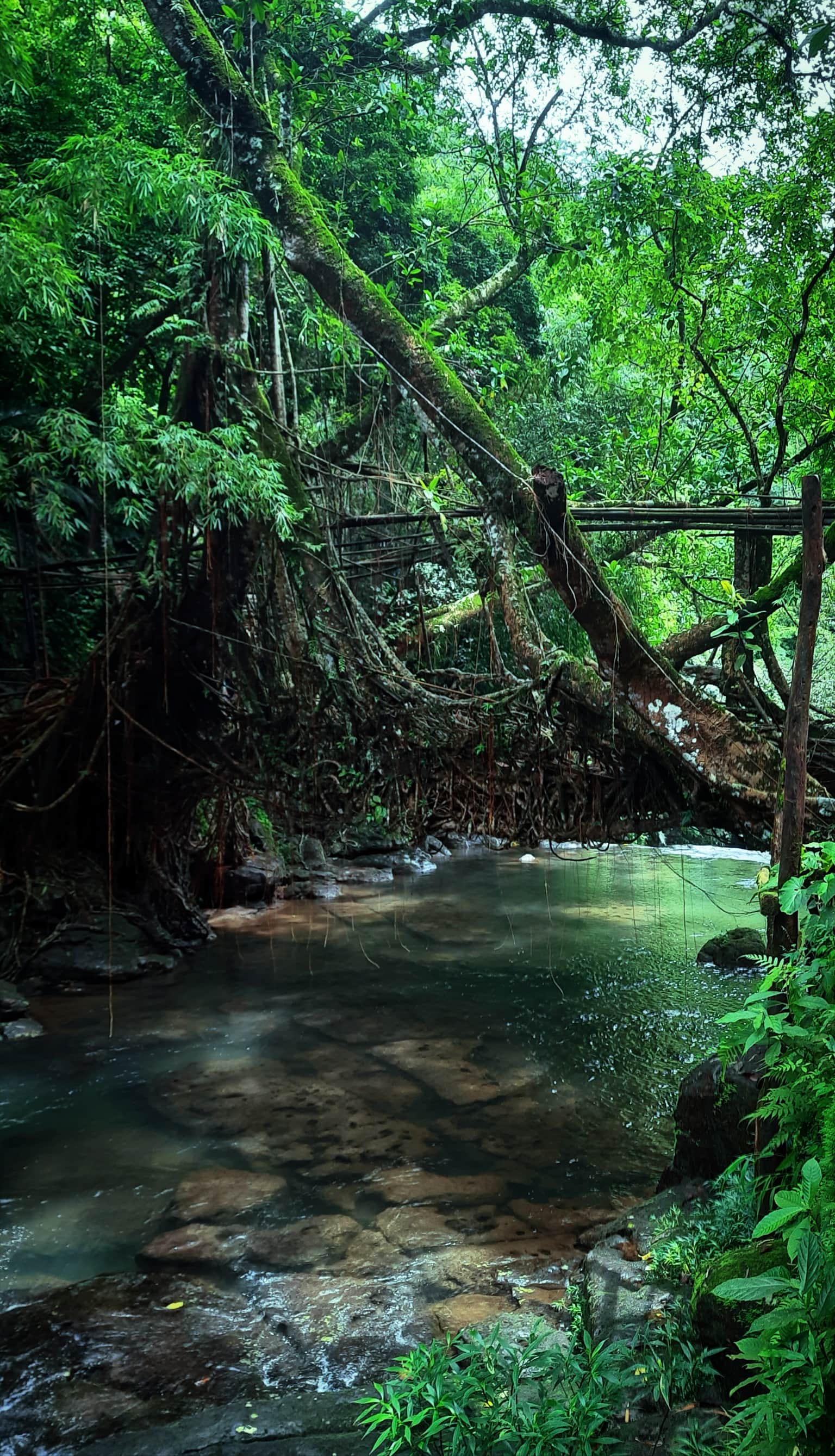 Photo from Nikhil Chaurasia's trip