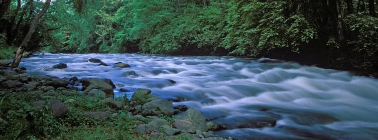 Dachigam National Park