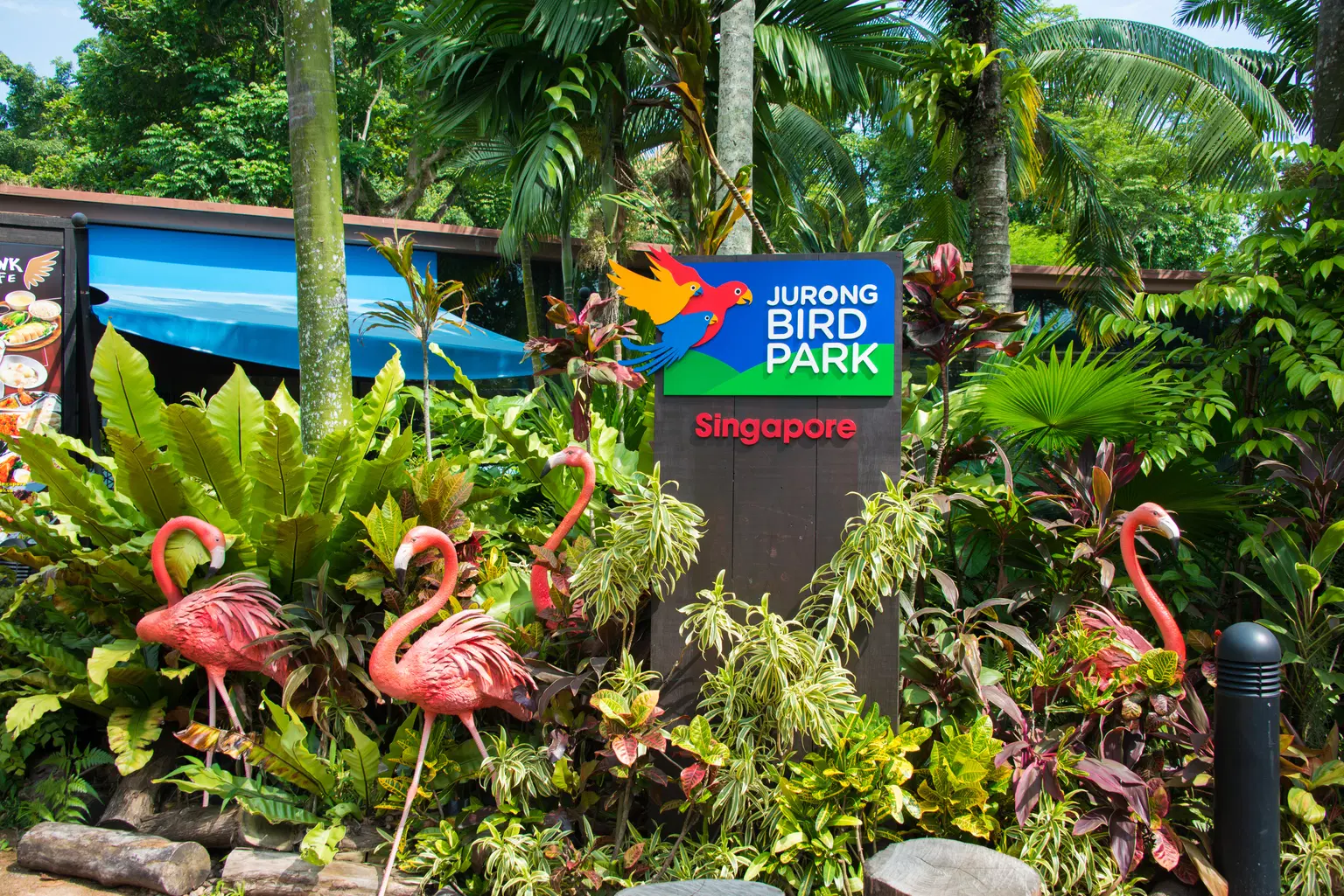 Singapore Zoo
