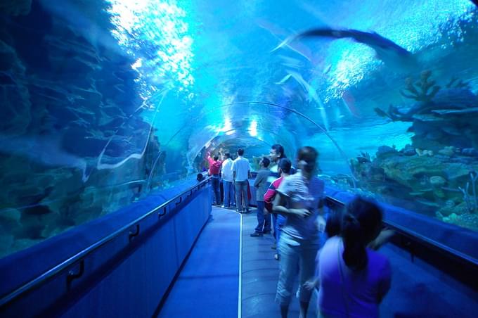 Aquaria KLCC