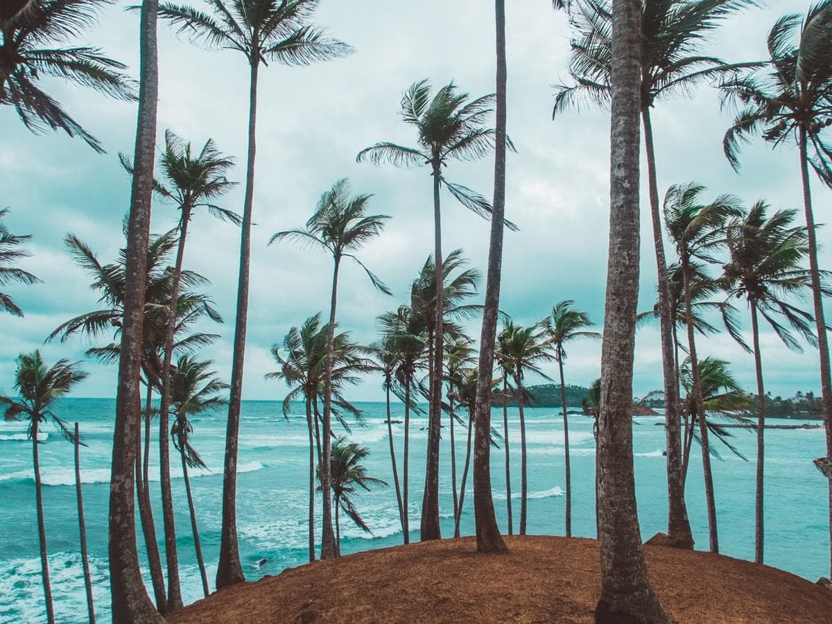 Discover Mirissa (Up to 25%)