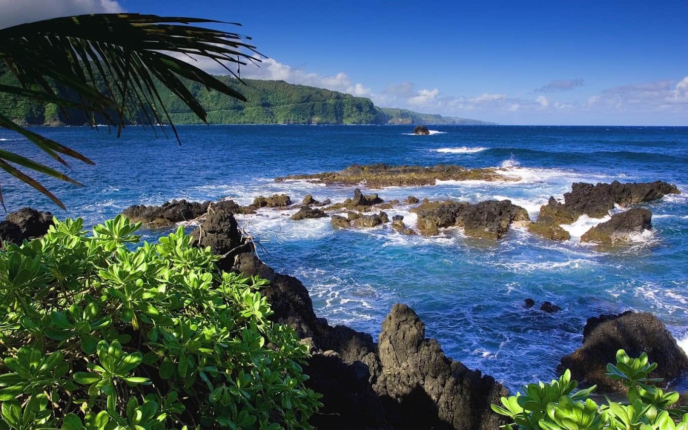 West Bali National Park