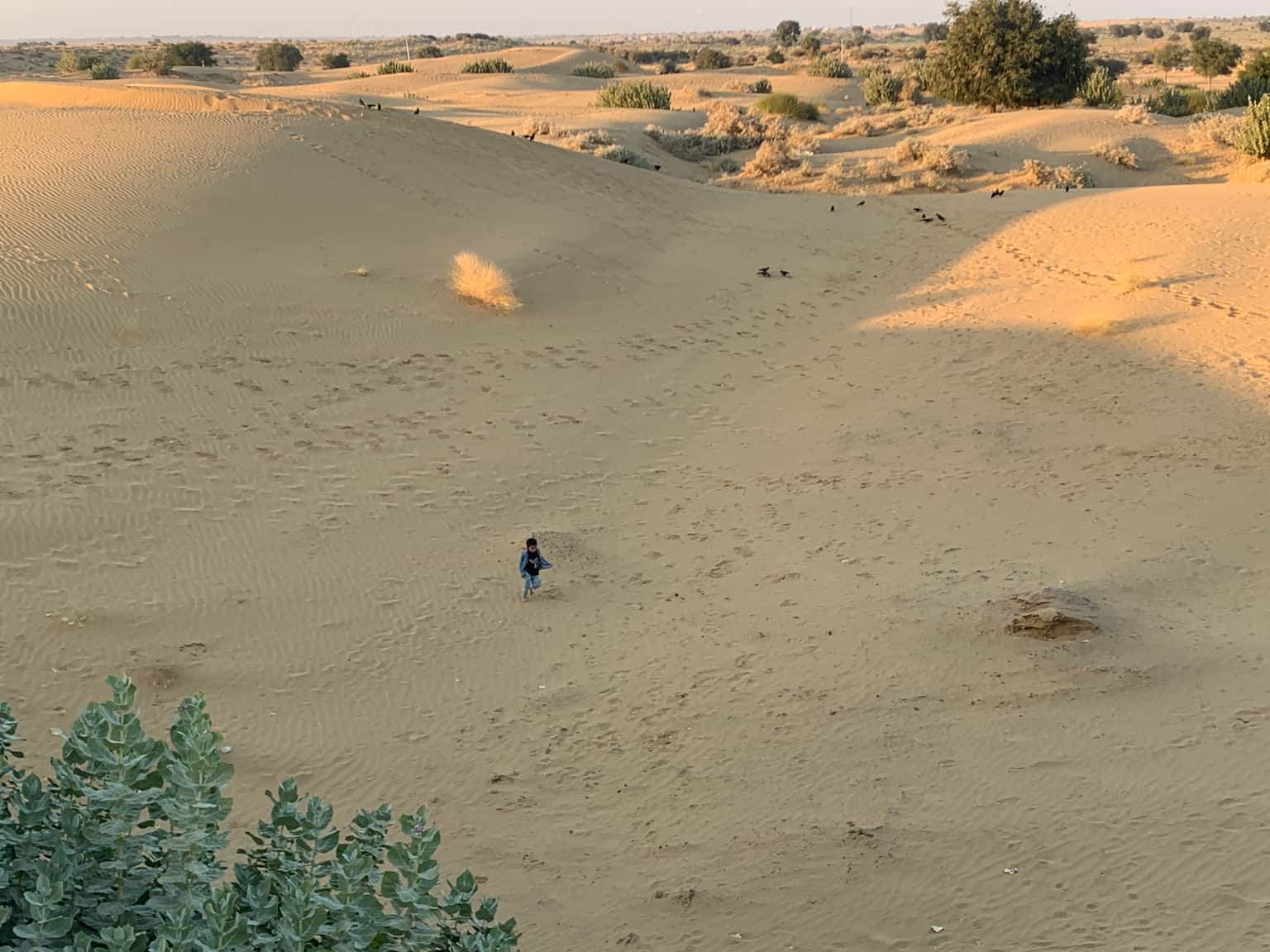 Photo from sriram 's trip