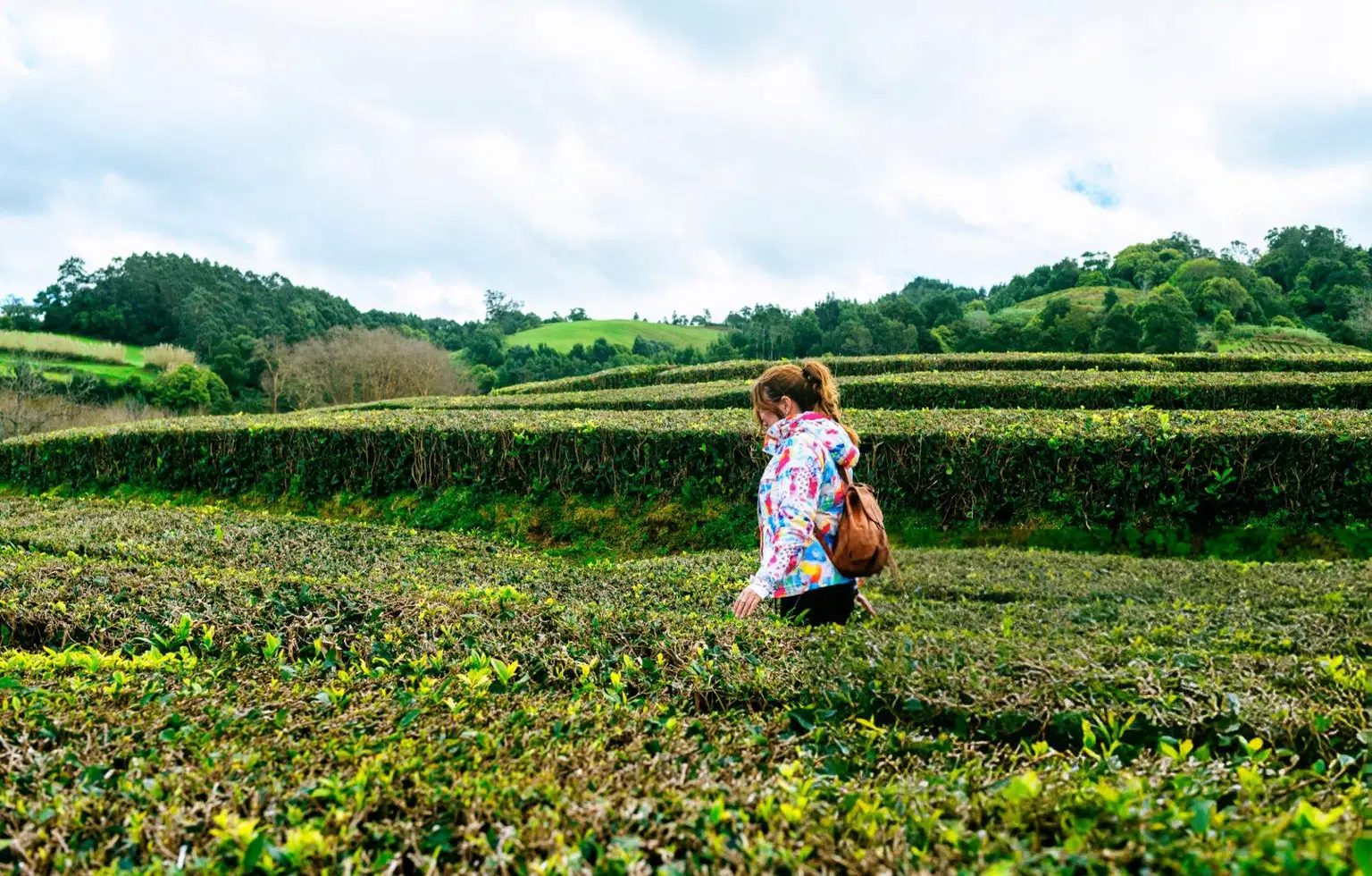 Kerala Backpacking Tour | Peaks Wildlife & Backwaters