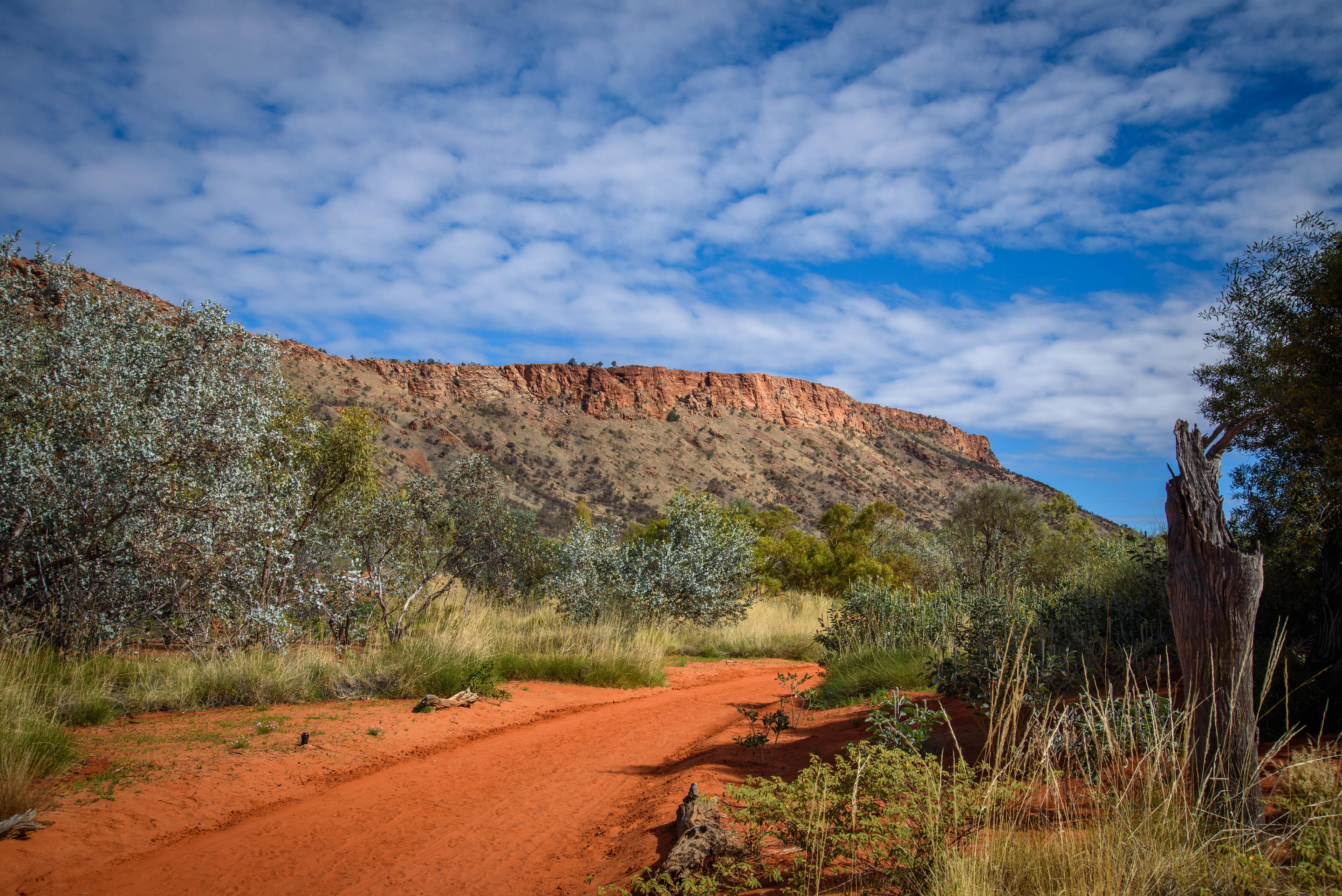 Alice Springs Desert Park Overview