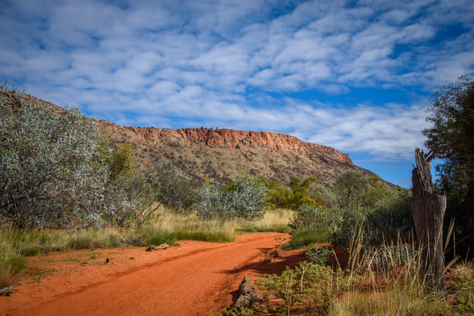 Alice Springs Desert Park