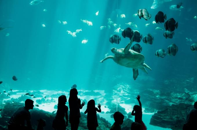 Birch Aquarium at Scripps Institution of Oceanography