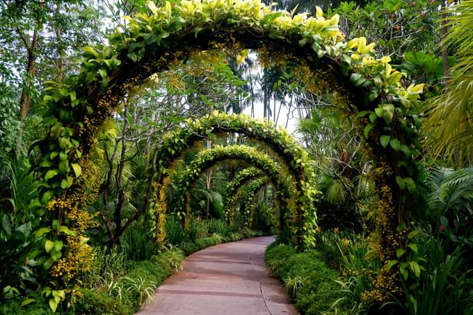 Singapore Botanical Gardens