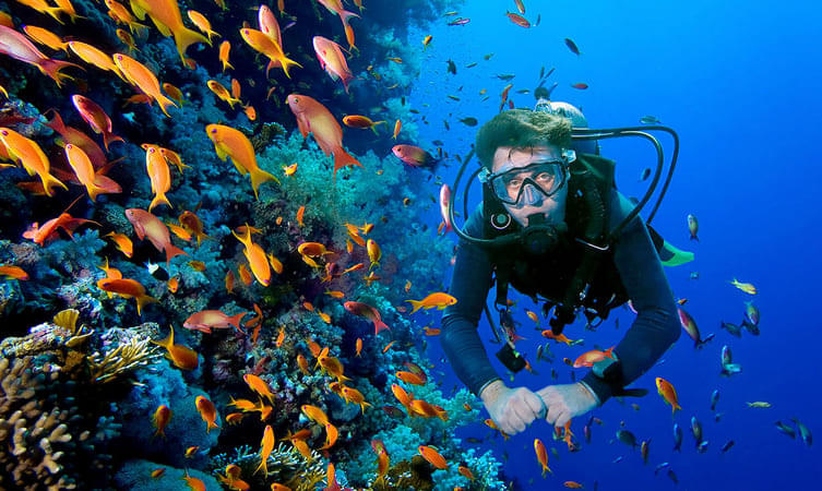 Andaman Nicobar Tour Package with Scuba Diving Image