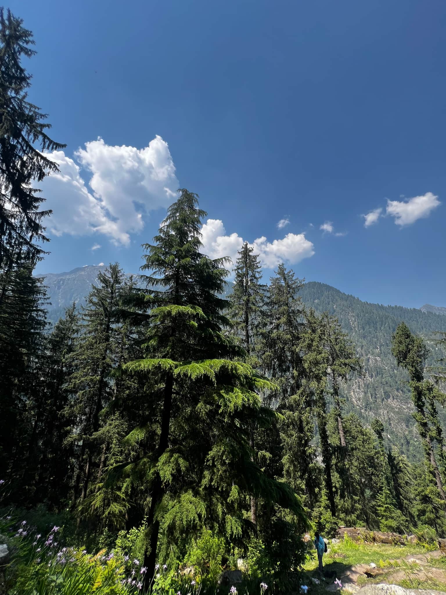 Photo from Raj Manral's trip