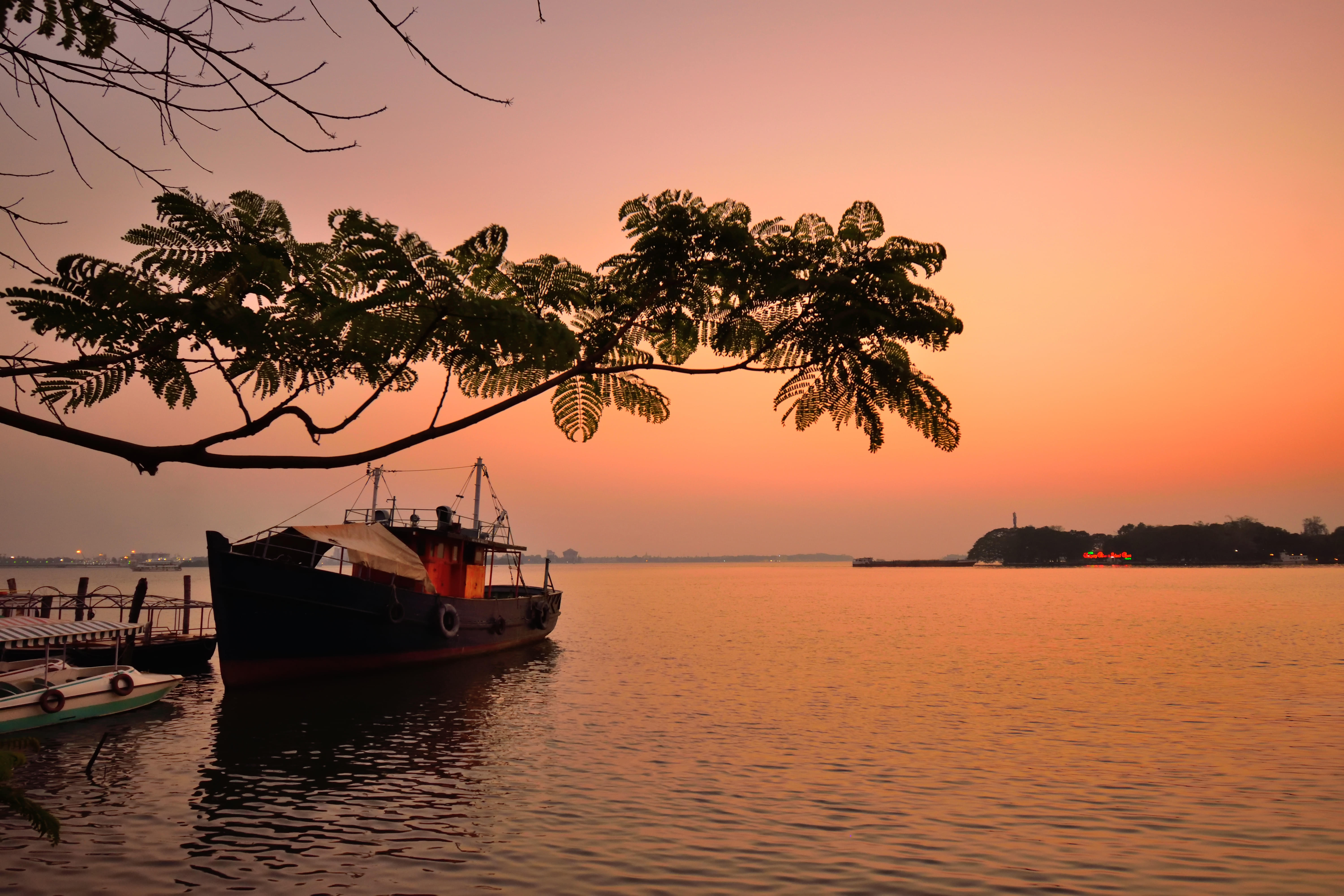 Half-Day City Tour of Kochi