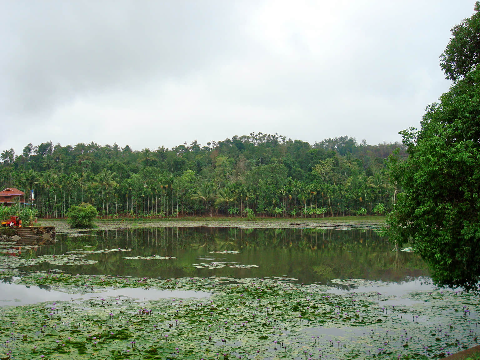 Photo from Priya Khan's trip