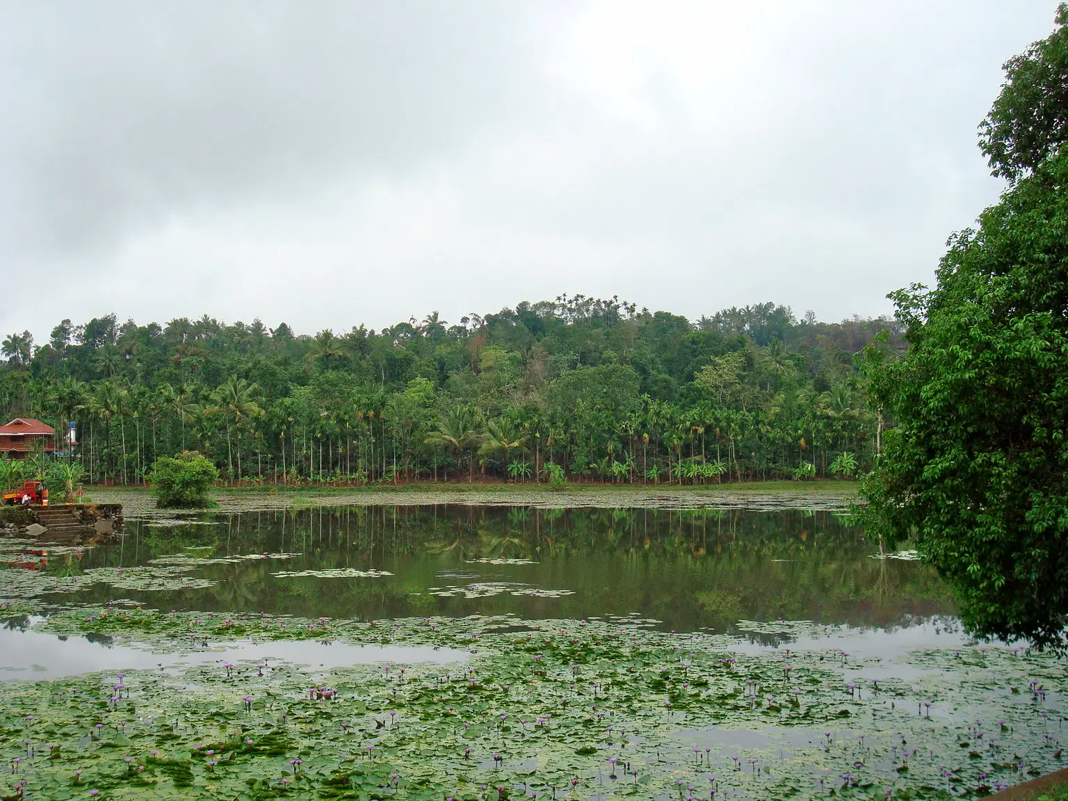 Photo from Priya Khan's trip