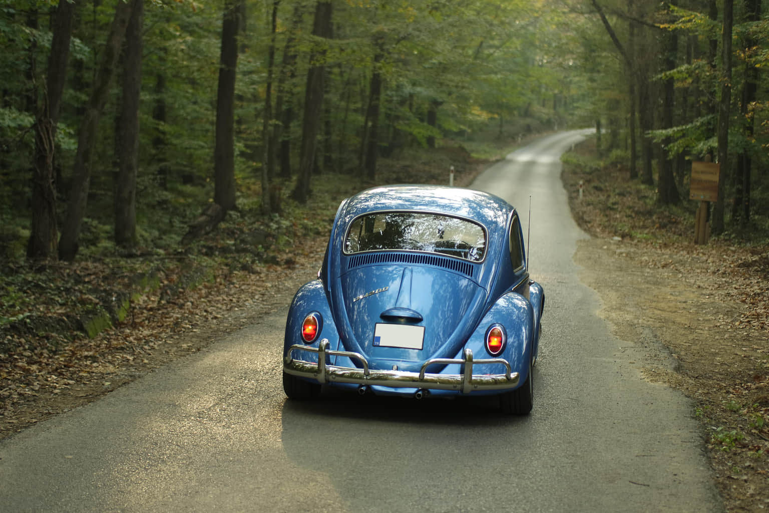International Road Trips