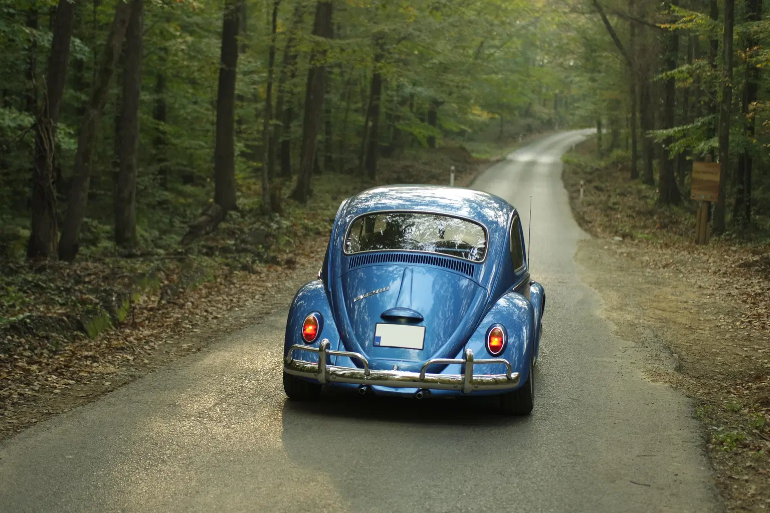 International Road Trips