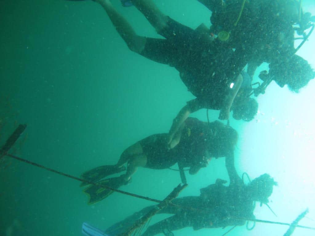 Photo from Falak 's trip