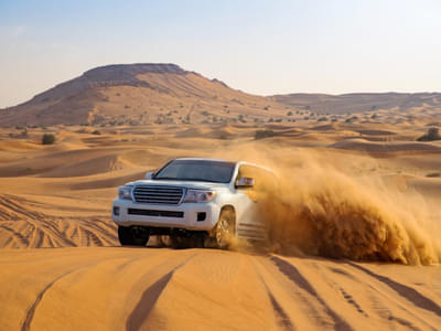  Morning Desert Safari in Dubai with Private Transfers