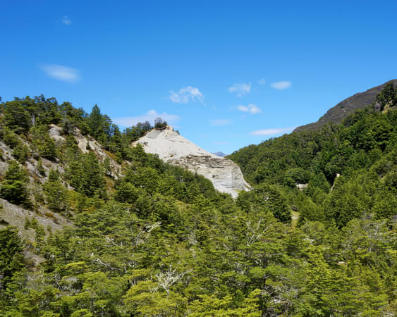 Mount Crichton Loop Track