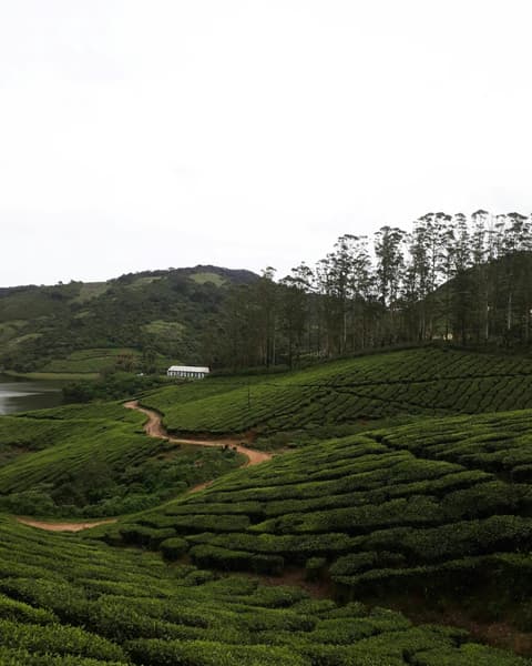 Hilltop Camping In Coonoor Image