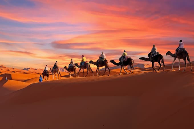 Camel-safari in Dubai