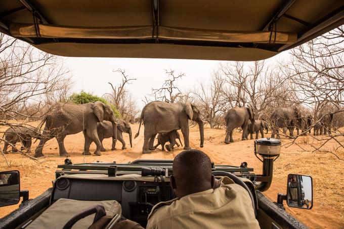 Chobe National Park