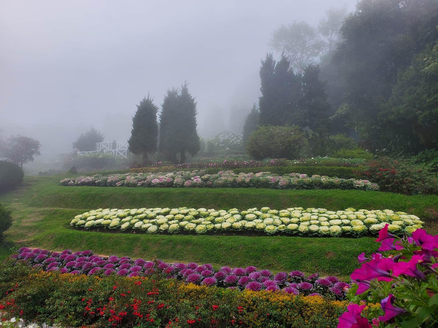 Photo from ITI ALAB's trip
