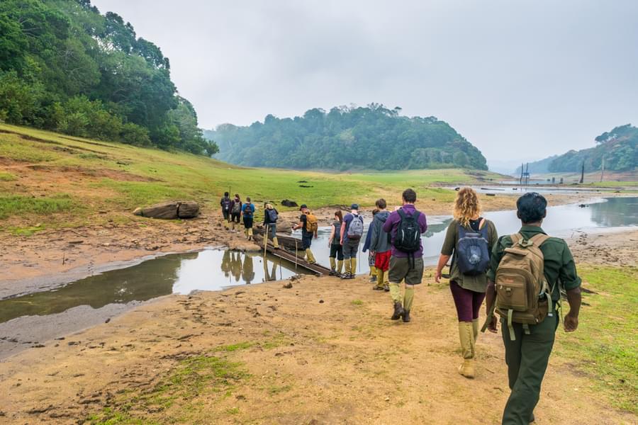 Periyar Tiger Reserve Trekking​ Image