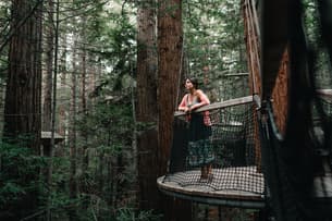 9zjmzzoy6o4dnayo2sl8zivi90ui redwood%20treewalk 3