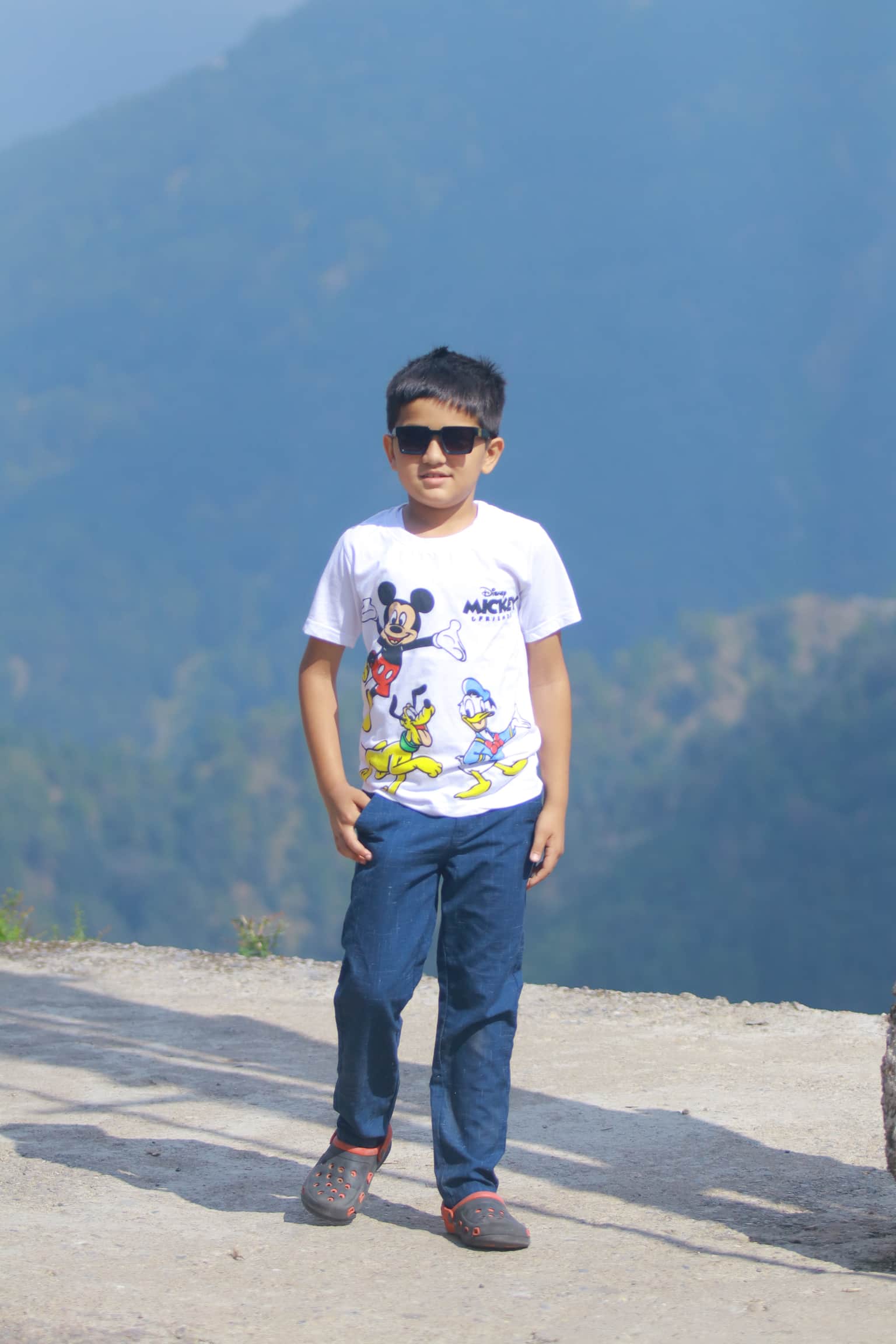 Traveller photo