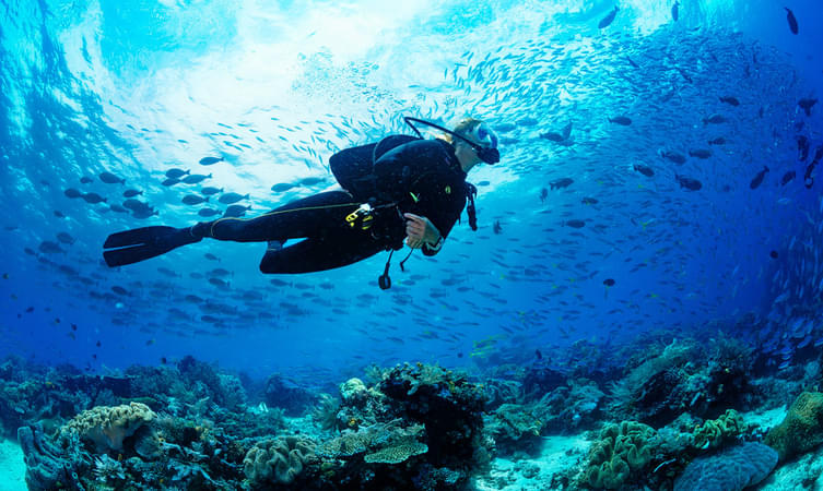 Scuba Diving at Jumeirah Beach. 