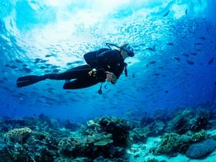 Scuba Diving at Jumeirah Beach. 