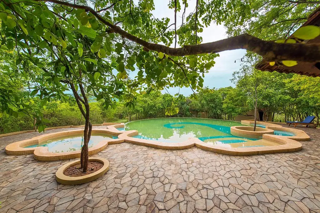 The Windflower Resorts & Spa, Bandipur | Luxury Staycation Deal