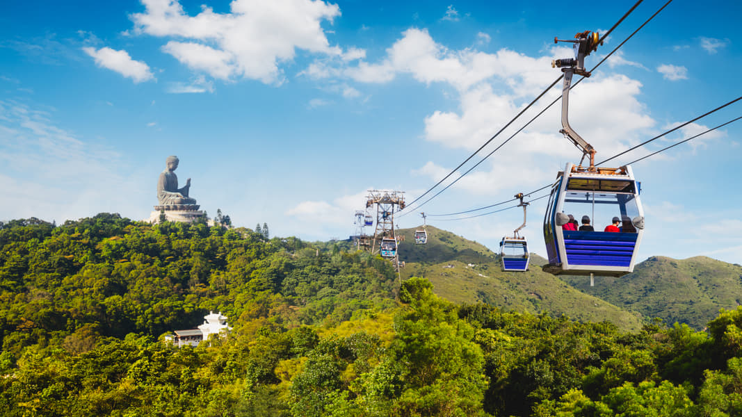 Lantau Island Sightseeing Tour Image